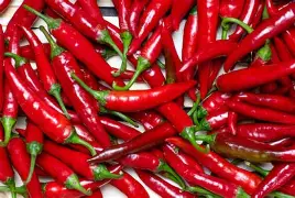 Sili labuyo