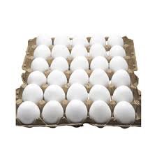 Egg