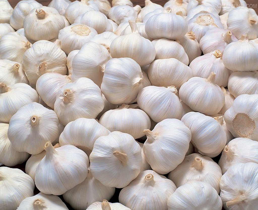 Garlic per kilo