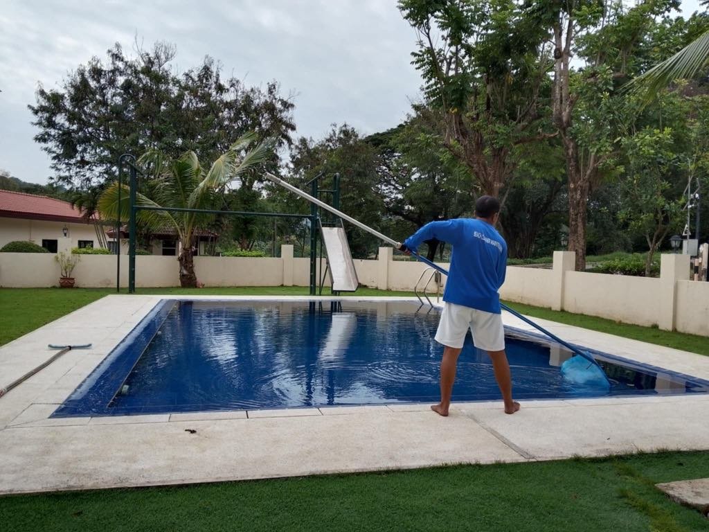 pool cleaning